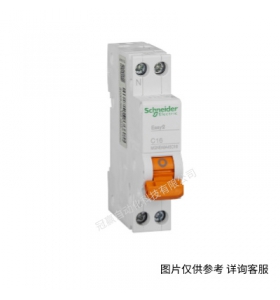 Schneider/施耐德小型斷路器 IC65N 2P D50A A9F19250