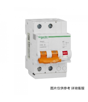 施耐德EA9R剩余電流動(dòng)作保護(hù)斷路器2PC32A/30mA/AC類EA9RN2C3230C