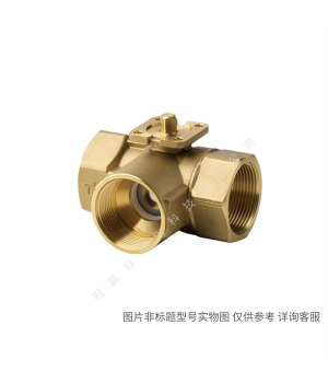 Siemens/西門子樓宇自動(dòng)化 BPZ:Z155/40 電磁閥B端口盲板DN40